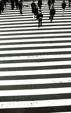 横断歩道